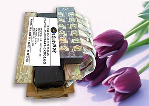 變頻器輸入側專用電抗器_綠波杰能