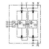DVA CSP 1P 50 FMϵyͺSPD -1