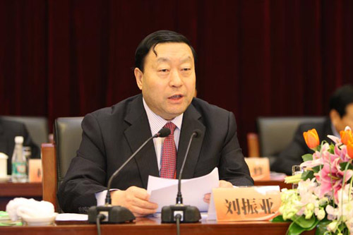 國家電網公司黨組書記、總經理劉振亞作報告