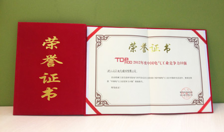 中國電氣工業競爭力10強