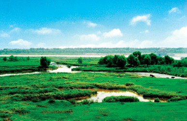 國邦電氣成功中標西安世界園藝博覽會