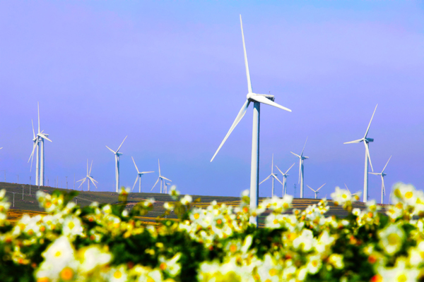 2015年我國(guó)新能源行業(yè)政策及發(fā)展前景分析