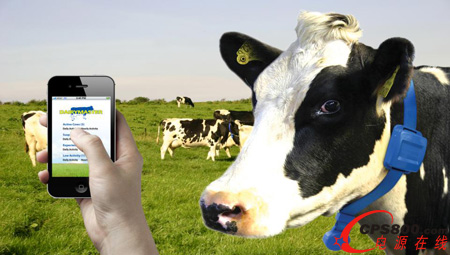 W^m׃GCypressOСԴռPע