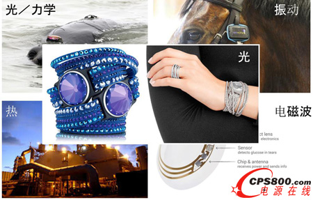 W^m׃GCypressOСԴռPע