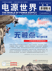 中國新能源汽車繼續崛起