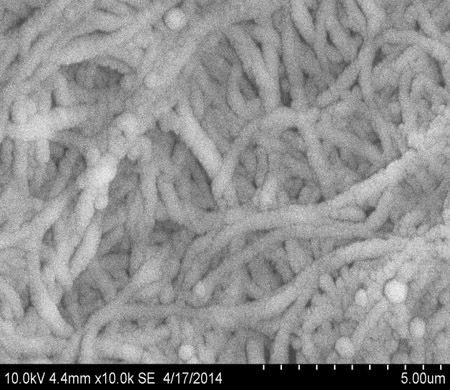 硅層沉積在單壁碳納米管上的透射電子顯微鏡圖像