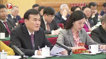 全國人大代表、江淮汽車董事長 安進